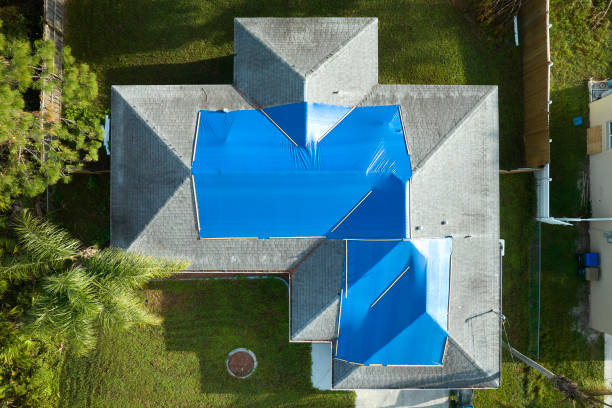 Best Roof Maintenance and Cleaning  in Sutherlin, OR
